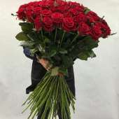  51 гигантская Красная роза 120 см